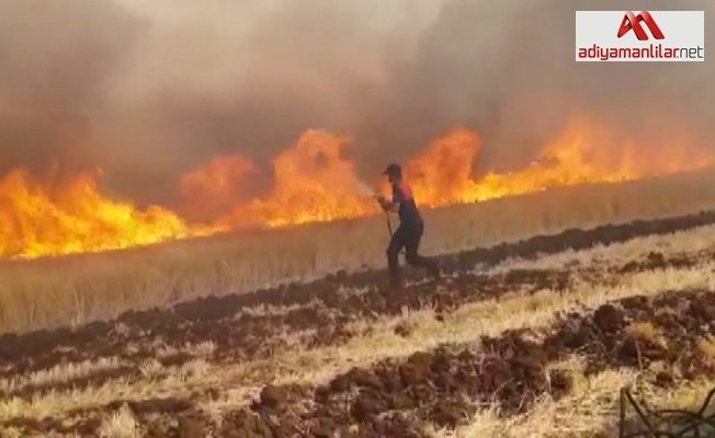 Ekili alan yangınları arttı, itfaiye müdürü uyardı