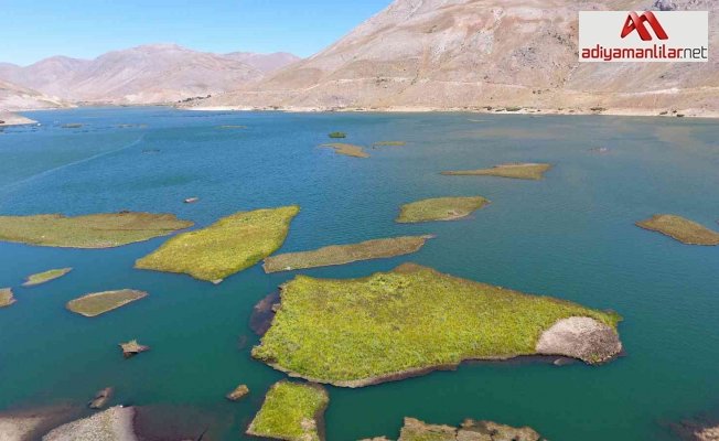 Binlerce yılda oluşan yüzen adaların su altı yapısı ilk kez görüntülendi