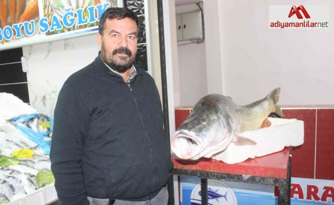 Atatürk Barajında dev turna balığı yakalandı
