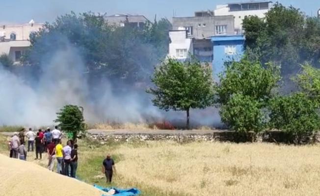 Kahta’da anız yangı Buğday Pazarı'na sıçramadan söndürüldü - Videolu Haber 