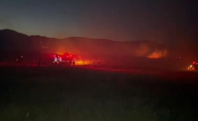 Ormanlık alanda çıkan yangın paniğe neden oldu - Videolu Haber 