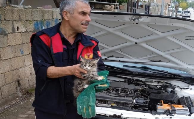 Otomobilin motor kısmına sıkışan kediyi itfaiye kurtardı - Videolu Haber 